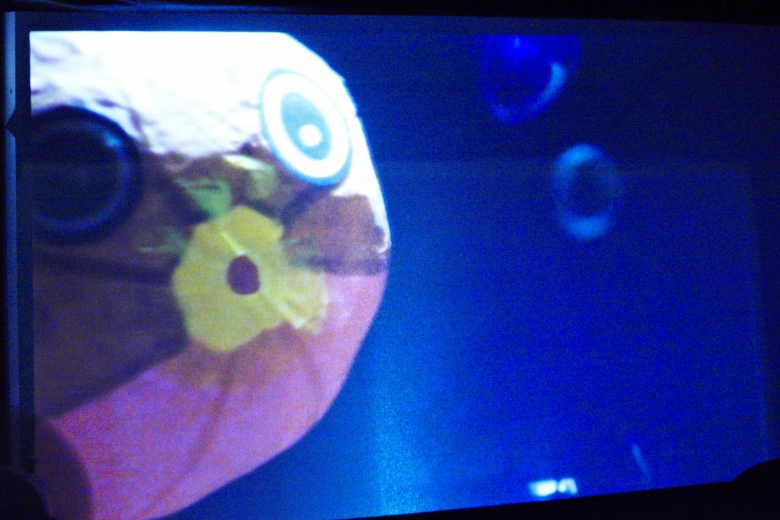 Foto: Baio/Grünbühel ukebox uketube